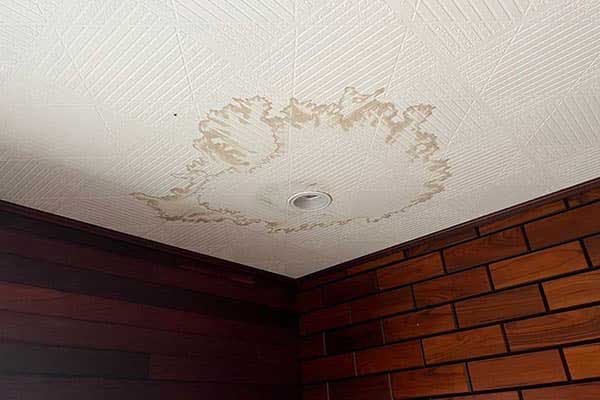 天井や壁に雨染み・カビが出ている