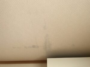 横浜市戸塚区にて天井や外壁からの雨漏り修理