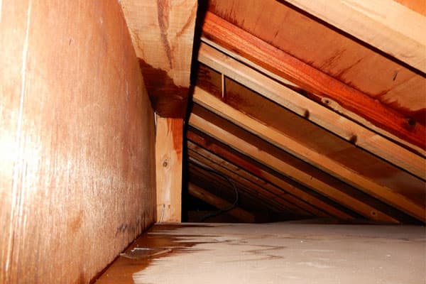 垂木の劣化の原因