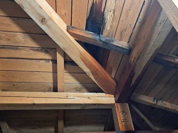 雨漏りしている屋根裏