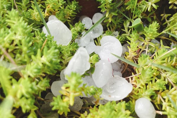 雹(ひょう)による屋根の被害は火災保険で修理できる? | 横浜市の雨漏り修理・屋根修理は福田総業