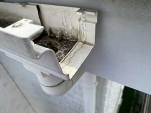 落下した雨樋の箇所